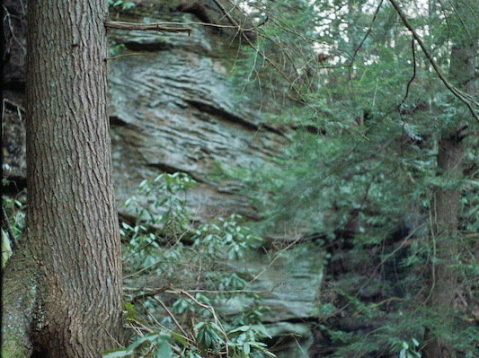 Kentucky Trail