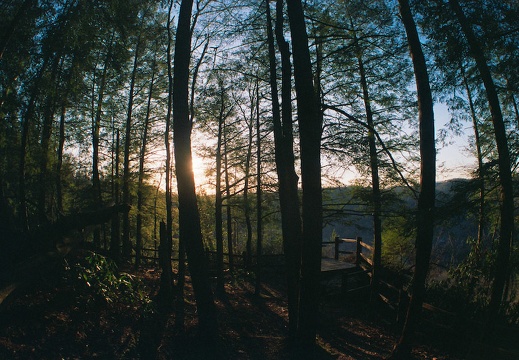 Catawba Overlook