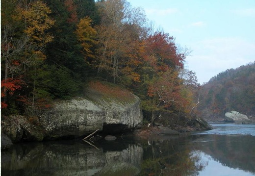 downstream of Falls in the morning