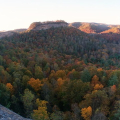 View from Hanson's Point into Chimney Top Creek and the ST