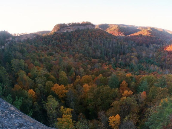 View from Hanson's Point into Chimney Top Creek and the ST