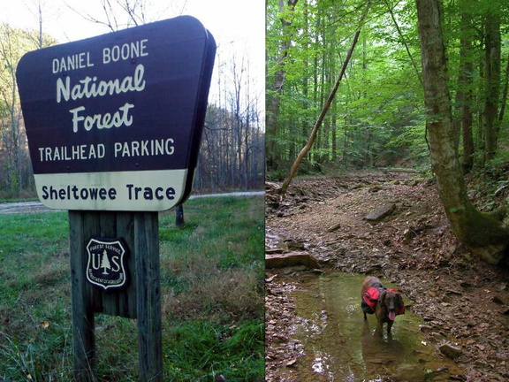 Northern Terminus of the Sheltowee Trace