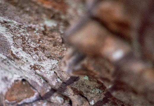 Weathering Sandstone
