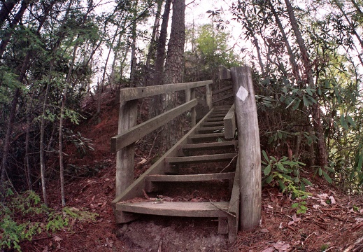 Stairs on Sheltowee Trace