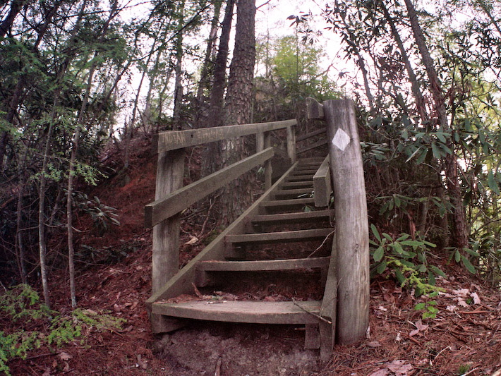 Stairs on Sheltowee Trace