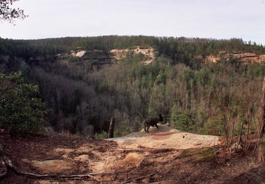 Overlook to Indian Staircase