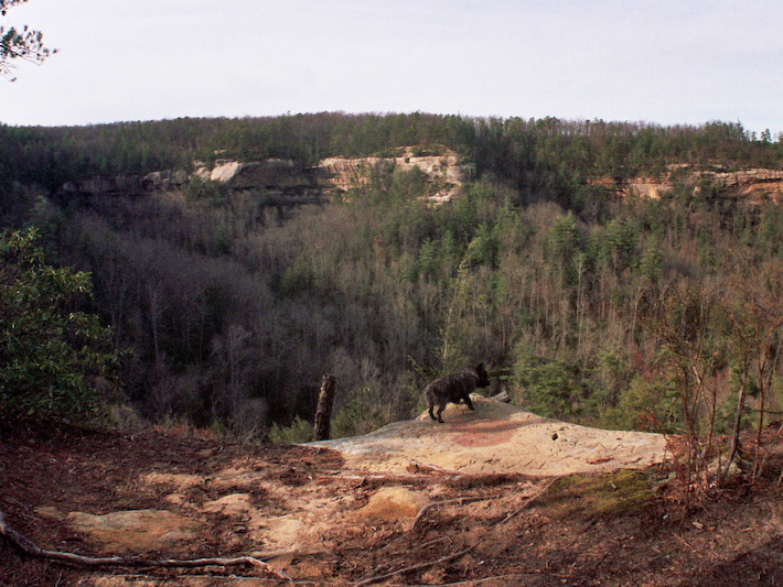 Overlook to Indian Staircase