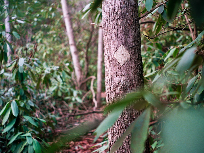 Sheltowee Trace