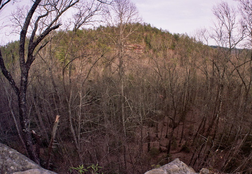 View into Grassy Branch