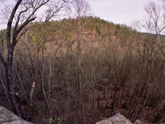 View into Grassy Branch