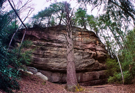 Sandstone, Hemlock