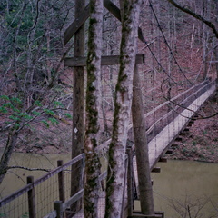 Red River Suspension Bridge