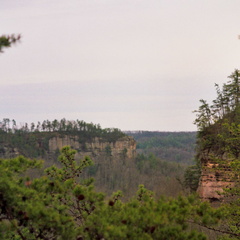 View to Chimney Top