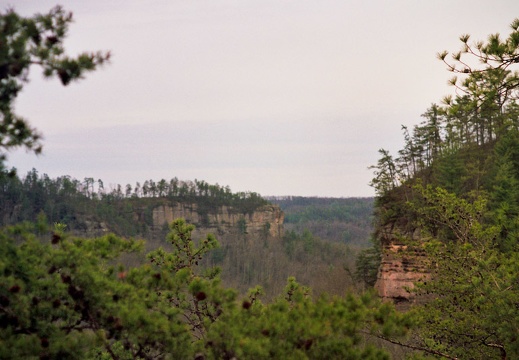 View to Chimney Top