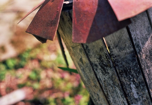 Old wood and steel yardart