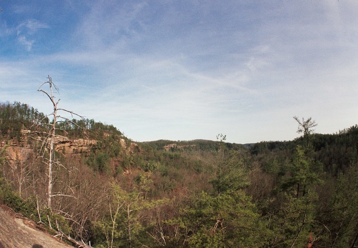 View to Gladie Creek