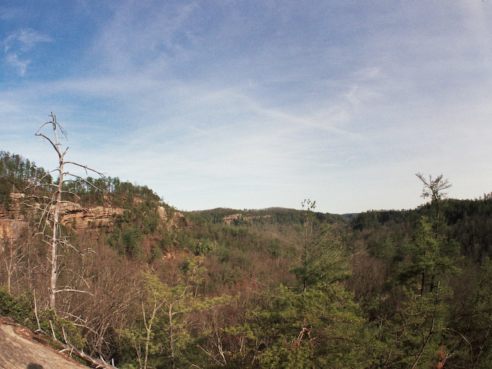 View to Gladie Creek