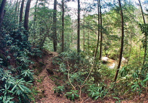 Trail Scene with Swift Camp in Background