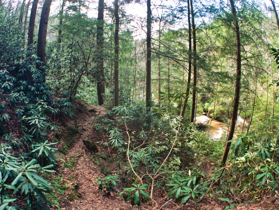 Trail Scene with Swift Camp in Background