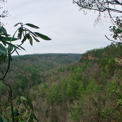 View across Parched Corn Creek