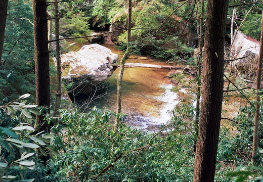 Swift Camp Creek from Trail