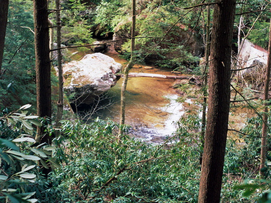 Swift Camp Creek from Trail