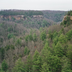 View across Parched Corn Creek