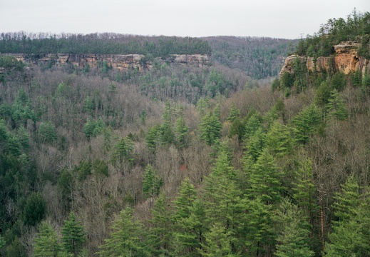 View across Parched Corn Creek