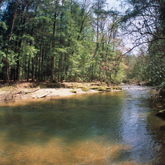 Swift Camp Creek near Steamboat Rock