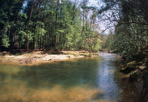 Swift Camp Creek near Steamboat Rock