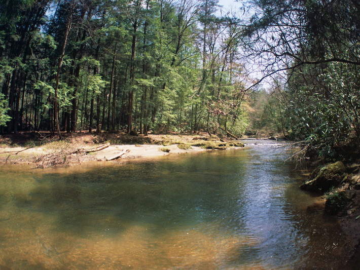 Swift Camp Creek near Steamboat Rock