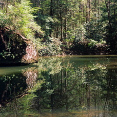 Swift Camp Creek reflections