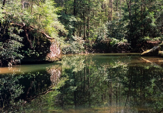 Swift Camp Creek reflections