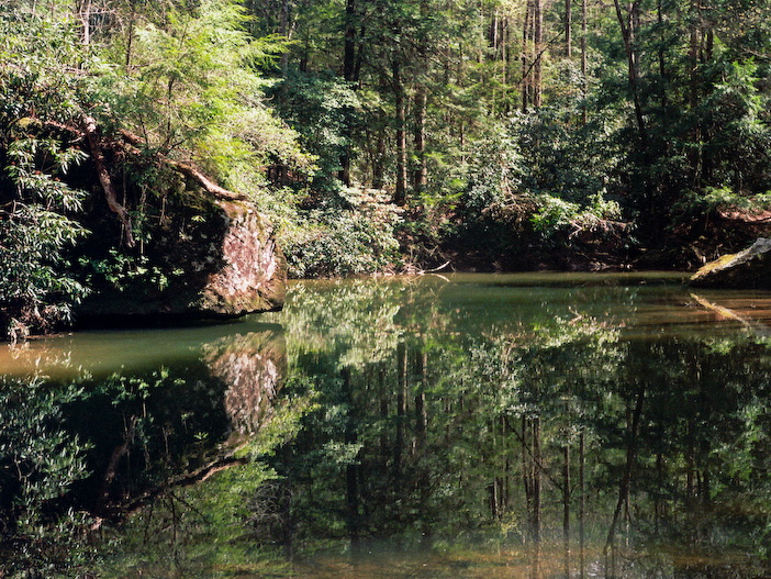 Swift Camp Creek reflections