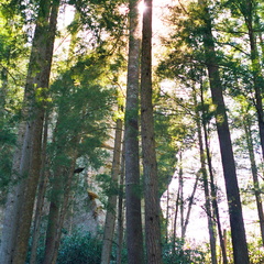 End of Ridge Crag and Sunlight