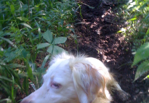 Cave Run Lake and Eddie!