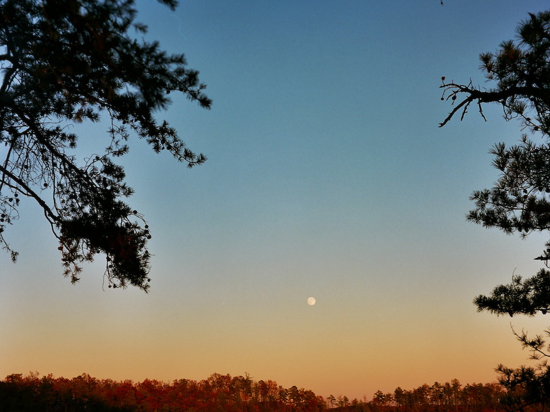 Moonrise