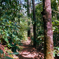 SwiftCampCreek
