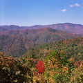 Cataloochee