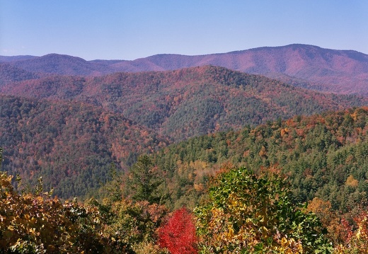 Cataloochee