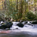 Greenbrier
