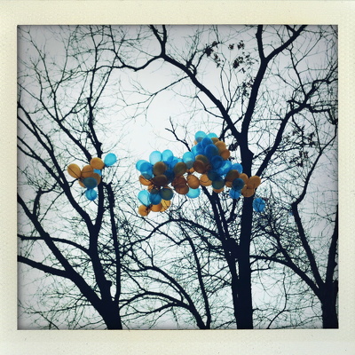 Bluegrass, Spring 2011