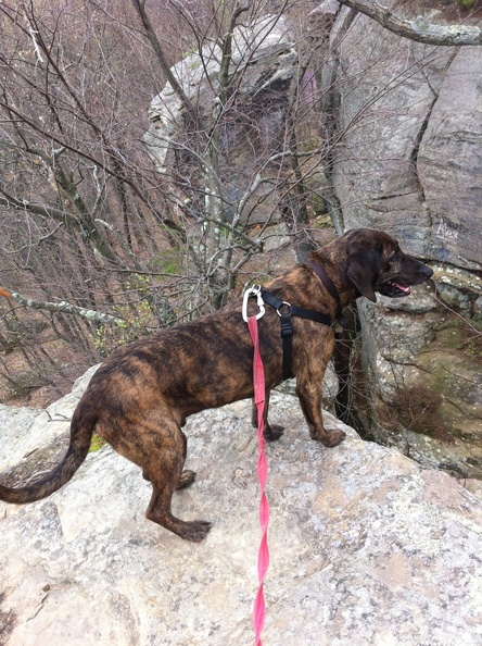 Lockegee Rock and Cave Run Lake