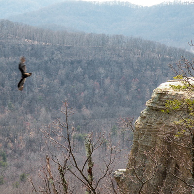 Indian Fort Mountain, early spring