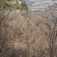 View from East Pinnacle