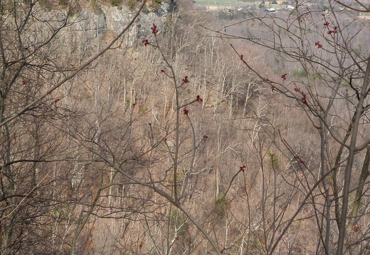 View from East Pinnacle