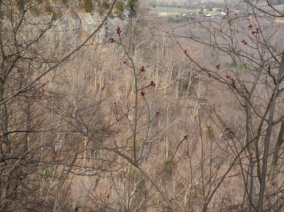 View from East Pinnacle