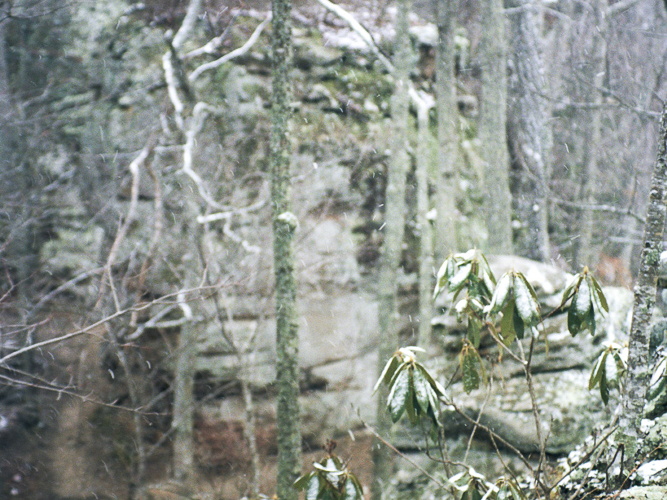 Snow Showers on Auxier Ridge