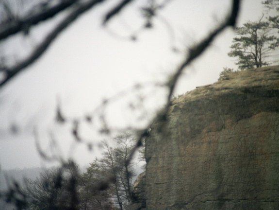 Snow Showers on Auxier Ridge