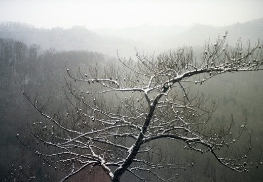 Snow Showers on Auxier Ridge